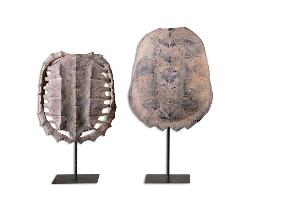 AC-19925-TURTLE SHELLS SET OF 2