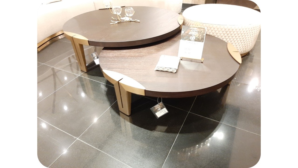 SAGE-C19265B-1111 COFFEE TABLE (120*31) SMOKY+263 BRASS