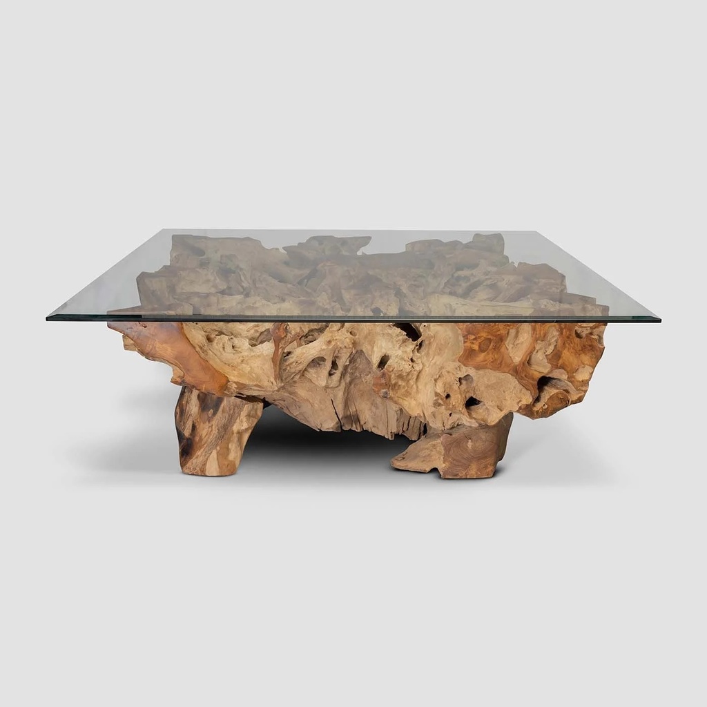 GARRY-CT-01-(SHEILA ROOT)-COFFEE TABLE NATURAL FINISH