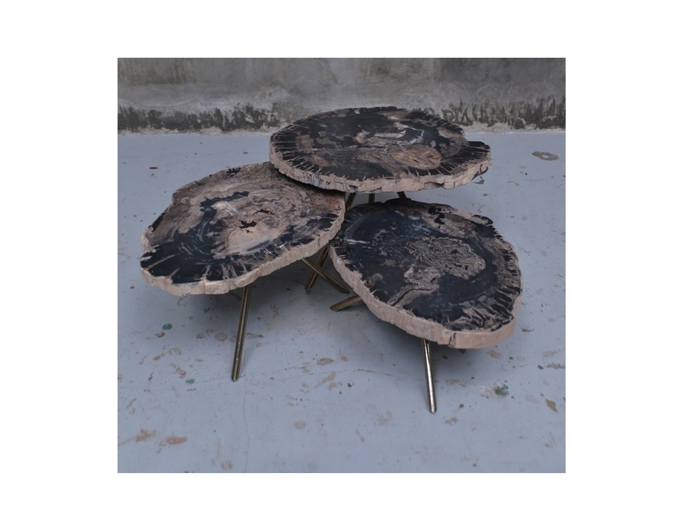 FABIO-A-FOS-01(FOSSILA)-COFFEE TABLE (3 IN 1)(40*50*45)-FOSSIL WOOD TOP