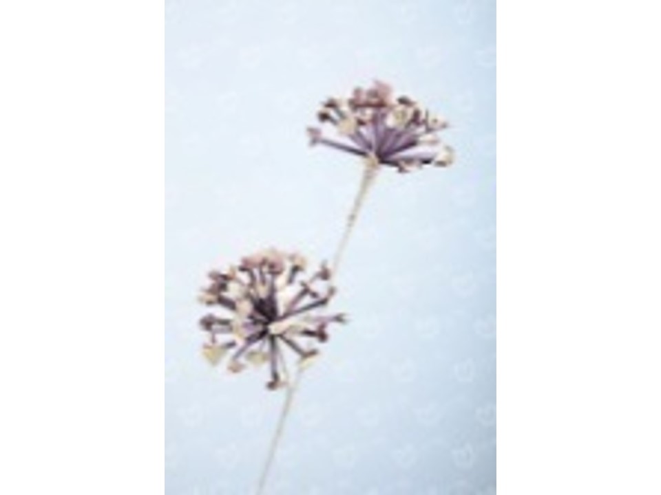 A008 ARTIFICIAL FLOWER