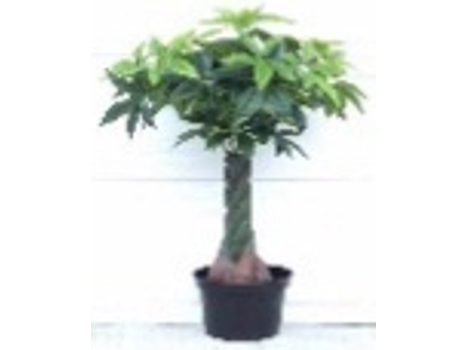 AH-P-03 ARTIFICIAL PLANT