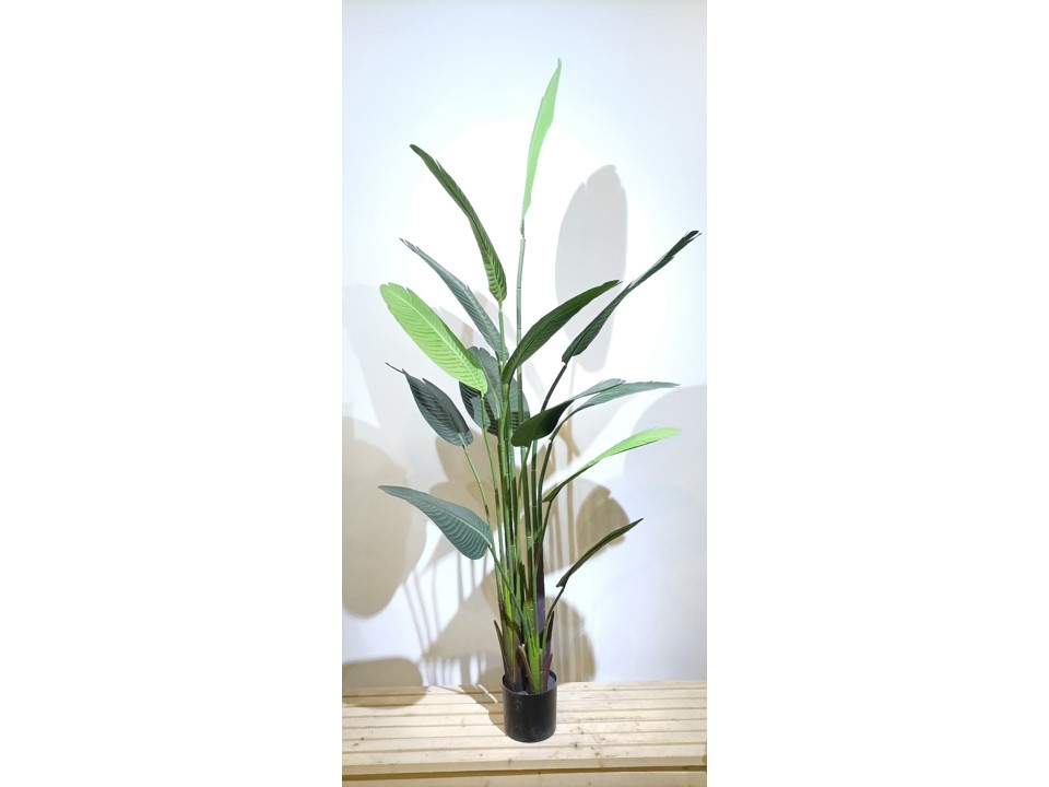 STRELITZIA-AH-P-26 ARTIFICIAL PLANT-MEDIUM