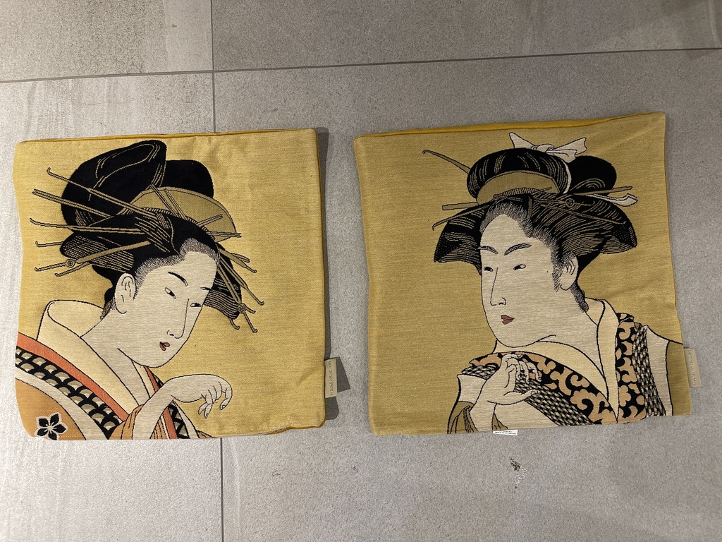 19538-CLASSIC GEISHA CUSHIONS S2 45X45