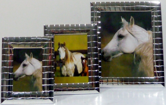 SO-C262-PHOTO FRAME (195*245*12) SILVERY (MIDDLE)