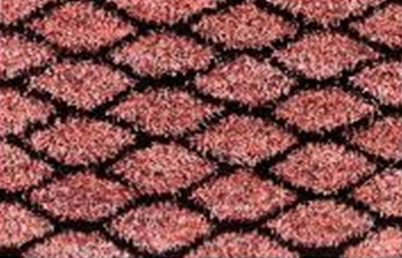CAO-13-BEYOND-CARPET (160*230)