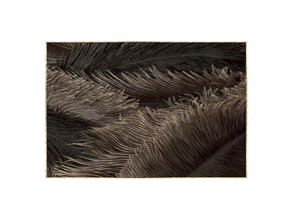 FA19007-1212JC-J1-D PIUMA PAINTING (120X120)-GLOSSY SURFACE-G1