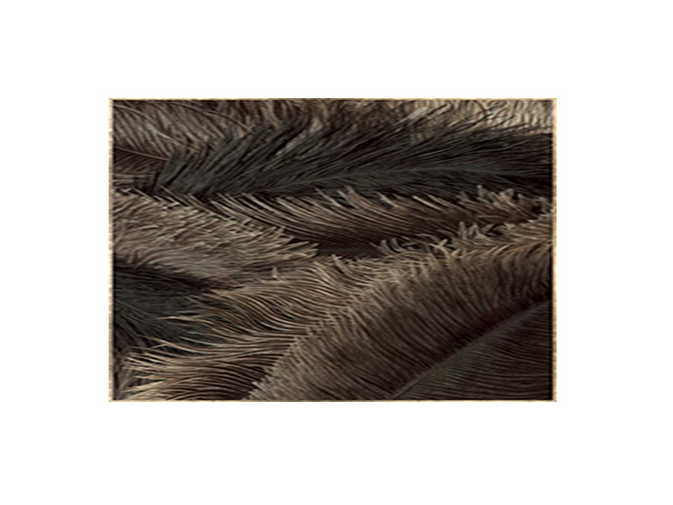 FA19007-1218JC-J1-D PIUMA PAINTING (120X180)-GLOSSY SURFACE-G2