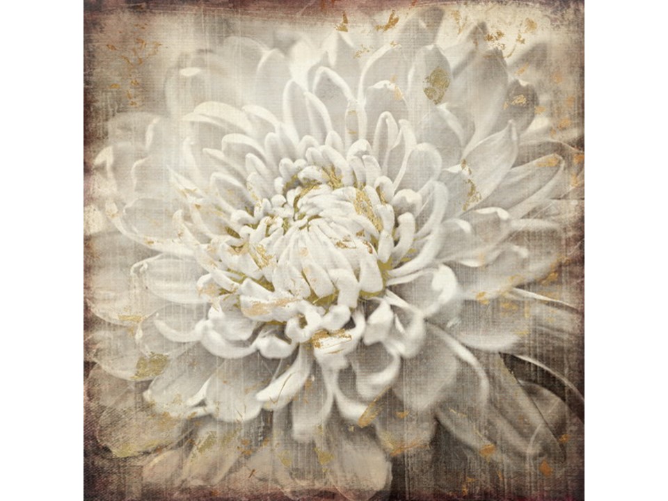 FC-J-P867-2C- PAINTING (100*100*3.5)-NEW