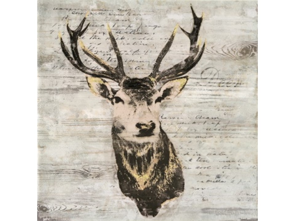FC-V-P829B-2- PAINTING (100*100*3.5)-NEW