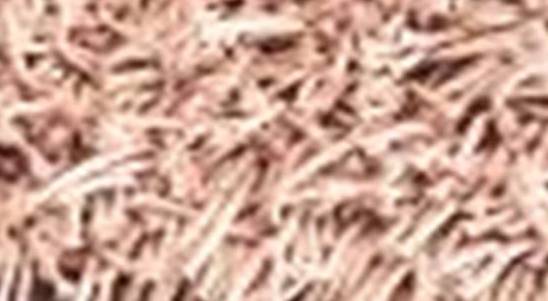 GOTY-CARPET POLYSTER (160*230) -GET-02-NATURAL