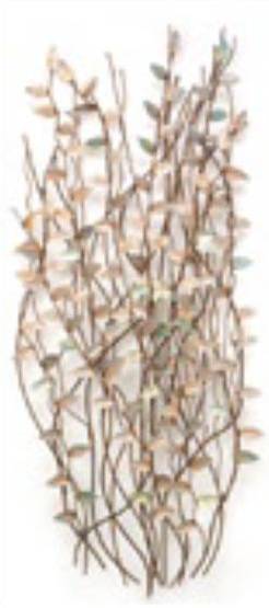 GW-210509 GREEN BRIER HEDGE