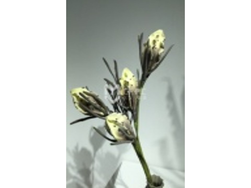 H004 ARTIFICIAL FLOWER