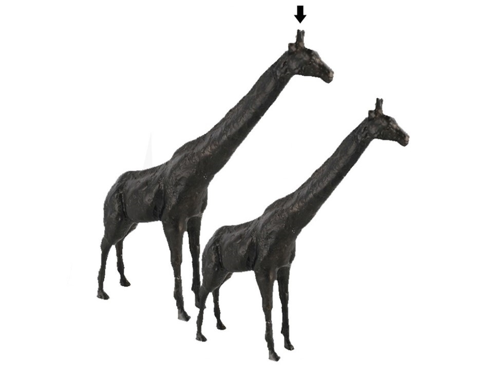 H0492-GIRAFFE SCULPTURE-LARGE(280X60X330)-DARK BRONZE