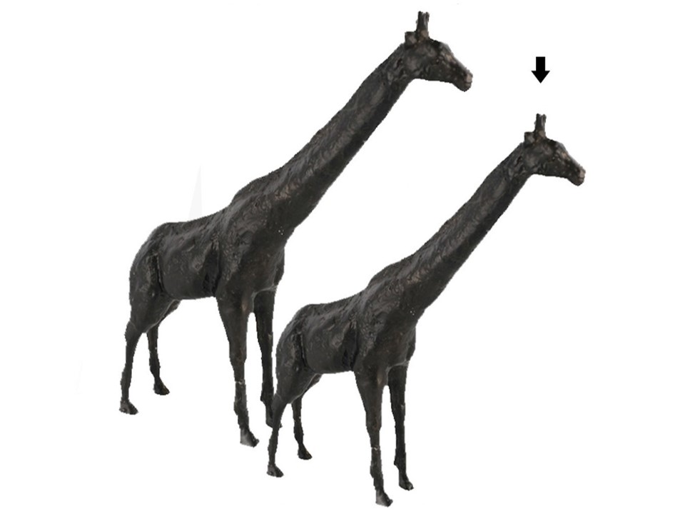 H0493-GIRAFFE SCULPTURE-SMALL(245X60X290)-DARK BRONZE