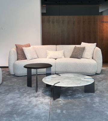 AZALEA-MS2203-2 SEATER SOFA-(BODY FAB:MILL-42)