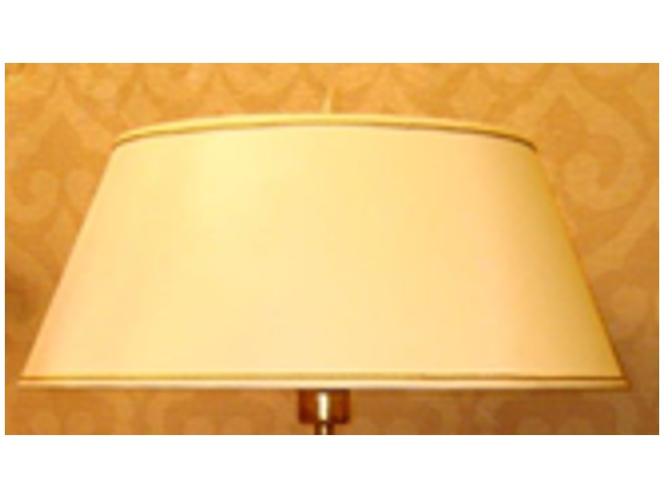 LI-10367-1-SHADE ONLY