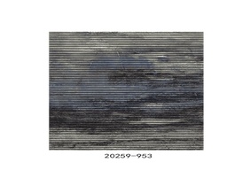 [AC20259-953] 20259-953-IBIZA CARPET (200*290)