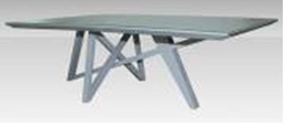 [CTC13653-G448-02-1] TRINOMA-C-13653-COFFEE TABLE (135.2*75.2*39) -G448-02-1(GREY)