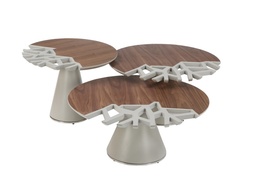 [CTC13658C-NEW] DEVIDE-C-13658C-COFFEE TABLE-(80X34)-WALNUT VENEER+MATT GRAY