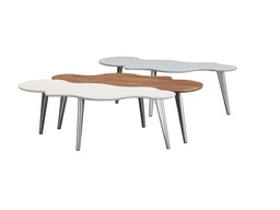 [CTC14707-NEW B] CHRIS-C-14707-COFFEE TABLE-(117X50X36.8)-MATT GREY+NECKEL BRUSHED
