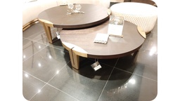 [CT-C19265C-1111] SAGE-C19265C-1111 COFFEE TABLE (140*39) SMOKY+263 BRASS