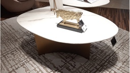 [CT-C19325B NEW] SANCIA-C19325B COFFEE TABLE (120*81*45) NATURE VOLAKAS MARBLE+263 BRASS