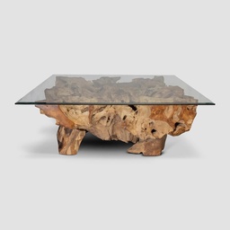 [CTCT01] GARRY-CT-01-(SHEILA ROOT)-COFFEE TABLE NATURAL FINISH