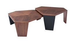[CTCT19061S] MORGAN-CT-19061S COFFEE TABLE (1318*929*340) STAINLESS STEEL (BRUSHED CHAMPAGNE GOLD) + 358-2 WALNUT