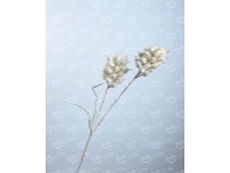 [ACA002-1] A002-1 ARTIFICIAL FLOWER