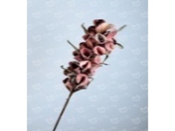 [ACA016] A016 ARTIFICIAL FLOWER