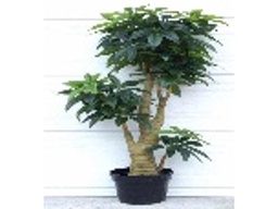 [ACAH-P04] AH-P-04 ARTIFICIAL PLANT