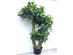 [ACAH-P05] AH-P-05 ARTIFICIAL PLANT