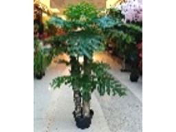 [ACAH-P08] AH-P-08 ARTIFICIAL PLANT