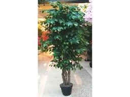 [ACAH-P10] AH-P-10 ARTIFICIAL PLANT