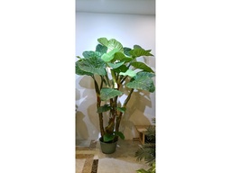 [ACAH-P15] AH-P-15 ARTIFICIAL PLANT