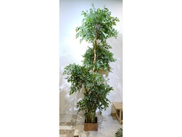 [ACAH-P16] FICUS-AH-P-16 ARTIFICIAL PLANT