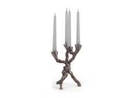 [ACAPL0802] APL-0802-DECORATION (17*17*18)-IRON