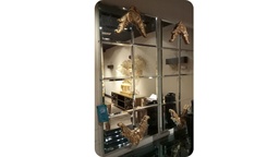 [MBRKDR12(MIRR)-GOLD] MARAYA-KDR-12-MIRROR -GOLD FOIL