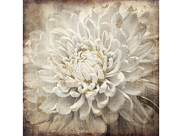 [ACFCJ-P867-2C] FC-J-P867-2C- PAINTING (100*100*3.5)-NEW