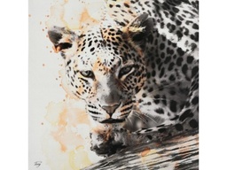 [ACFCZ-P807-1] FC-Z-P807-1- PAINTING (120*150*3.5)-NEW