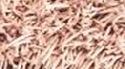 [ACGOTY-GET02] GOTY-CARPET POLYSTER (160*230) -GET-02-NATURAL
