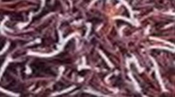[ACGOTY-GET12] GOTY-CARPET POLYSTER (160*230) -GET-12