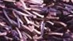 [ACGOTY-GET16] GOTY-CARPET POLYSTER (160*230) -GET-16