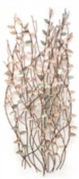 [ACGREENPRIER] GW-210509 GREEN BRIER HEDGE