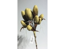[ACH007] H007 ARTIFICIAL FLOWER