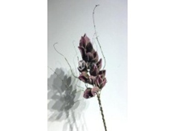 [ACH008] H008 ARTIFICIAL FLOWER