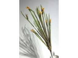 [ACH015] H015 ARTIFICIAL FLOWER