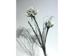 [ACH027] H027 ARTIFICIAL FLOWER
