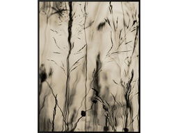 [ACJM135RESIIN] JM-135-RESIN PAINTING (68.0X88.0)-GOLDEN ALUMINUM ALLOY FRAME